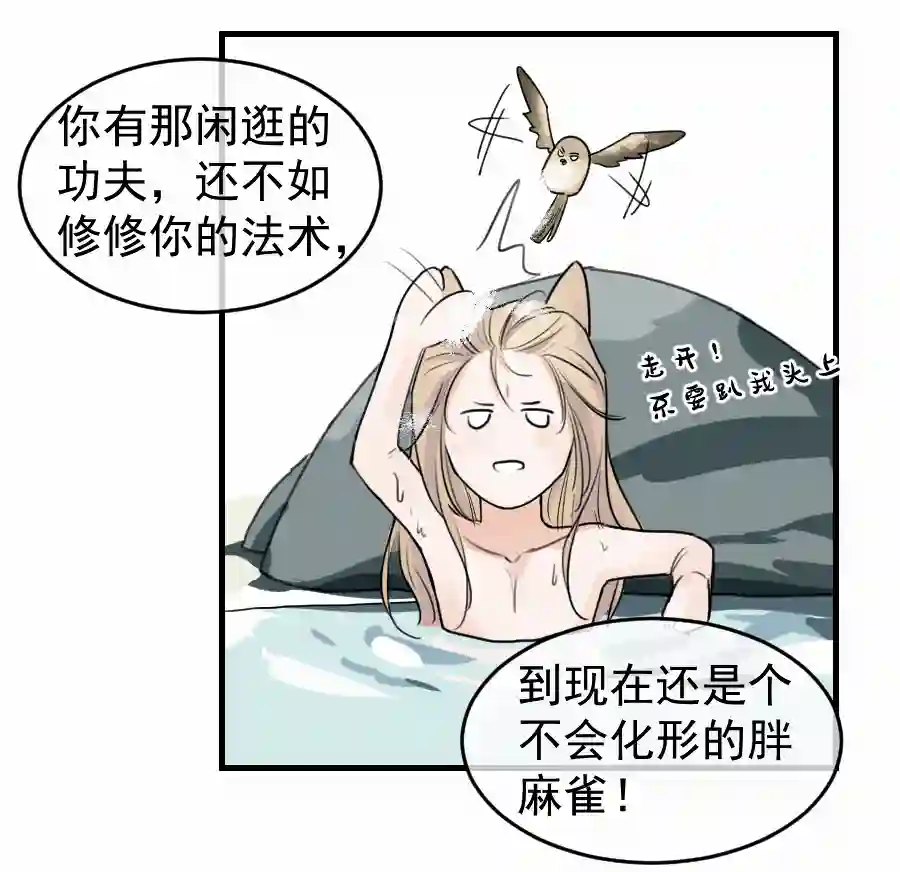 帝君许我做夫妻（四十八）狐狸他命苦啊