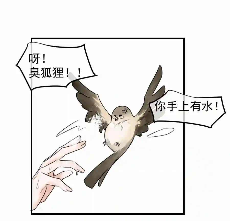 帝君许我做夫妻（四十八）狐狸他命苦啊