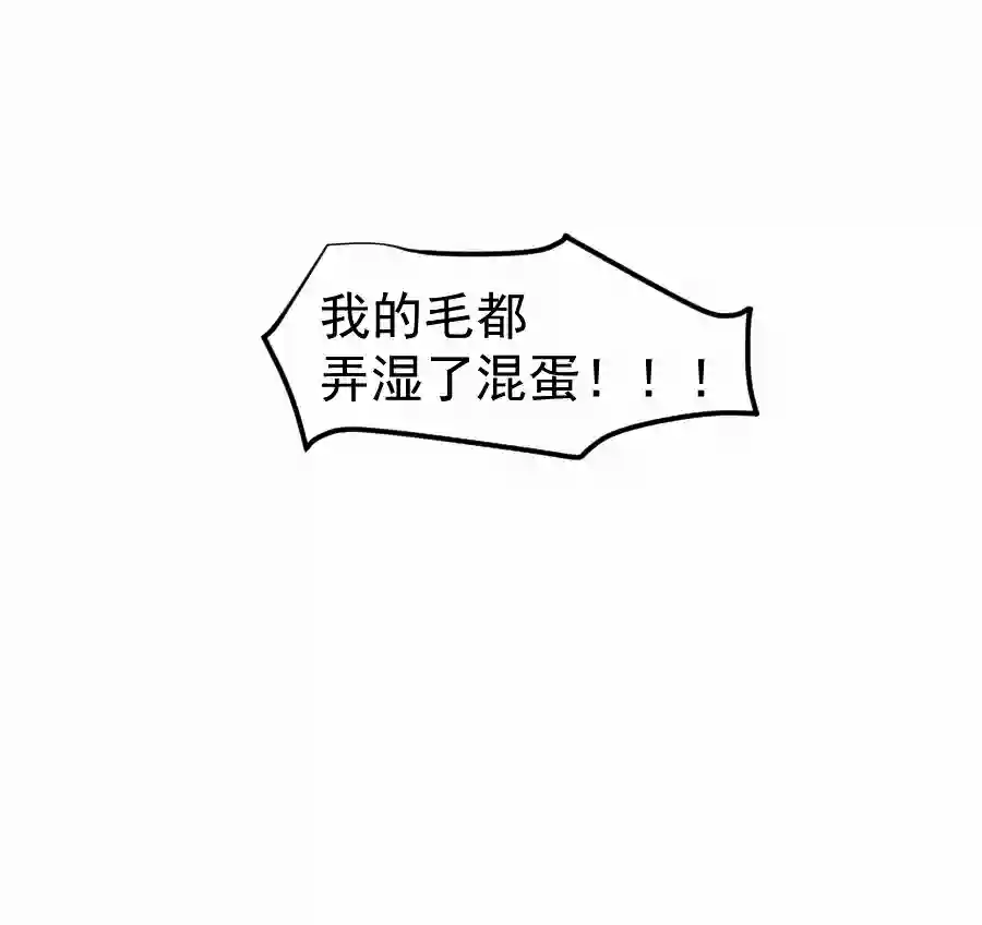 帝君许我做夫妻（四十八）狐狸他命苦啊