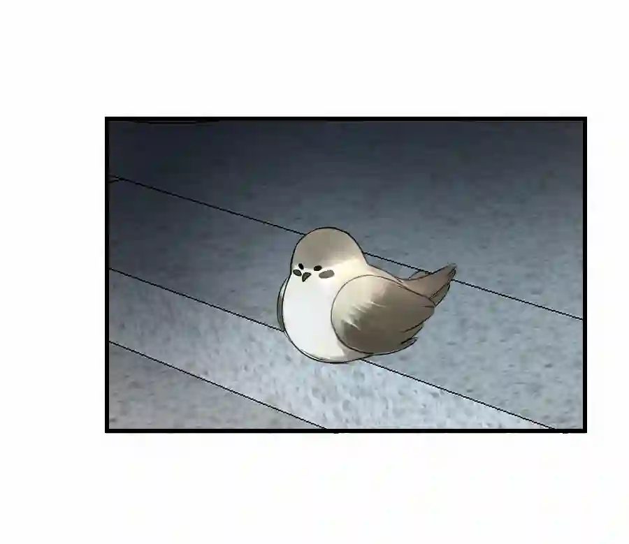 帝君许我做夫妻（四十八）狐狸他命苦啊