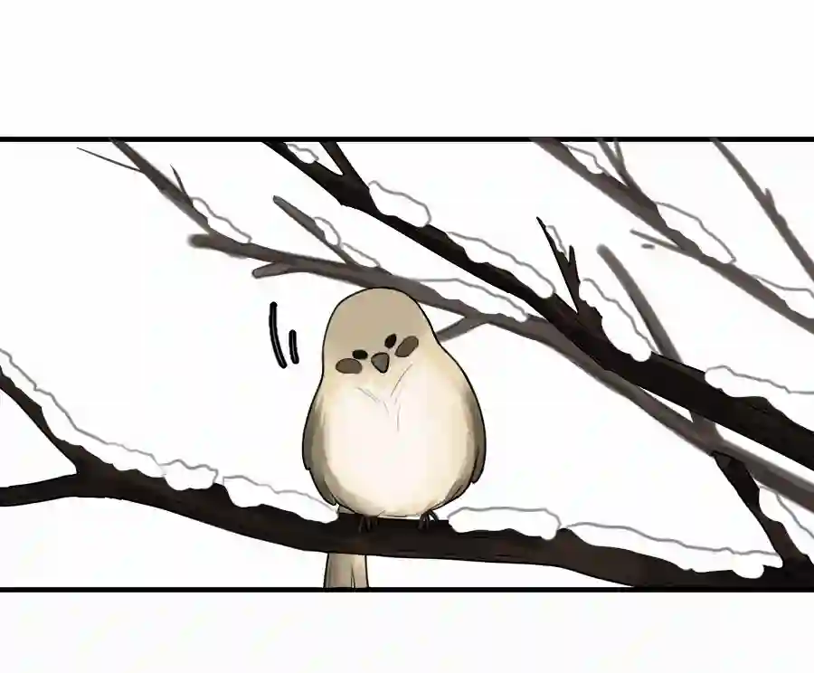 帝君许我做夫妻（四十八）狐狸他命苦啊