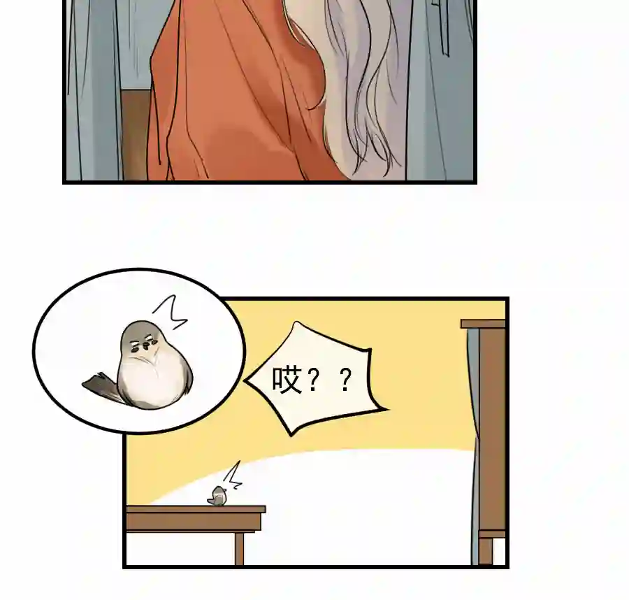 帝君许我做夫妻（四十八）狐狸他命苦啊