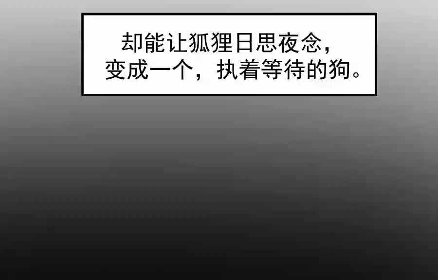 帝君许我做夫妻（四十八）狐狸他命苦啊