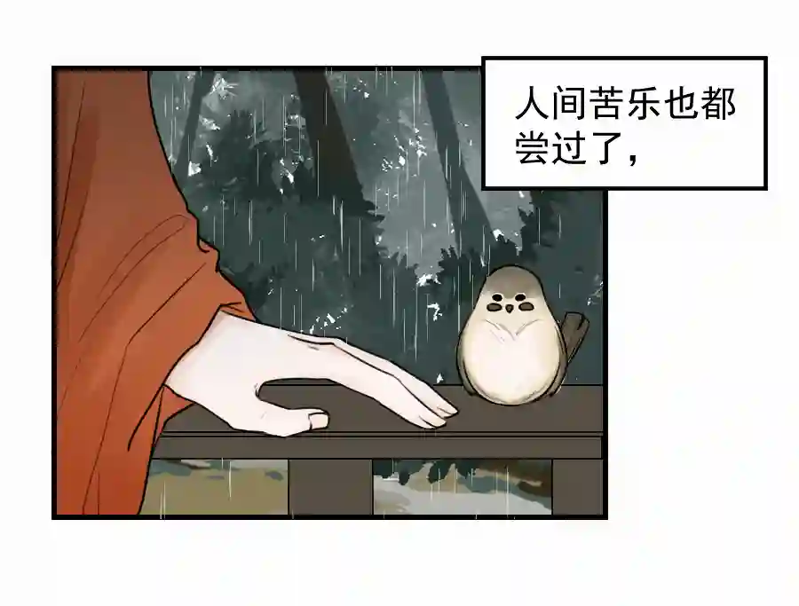 帝君许我做夫妻（四十九）这人是帝君？？