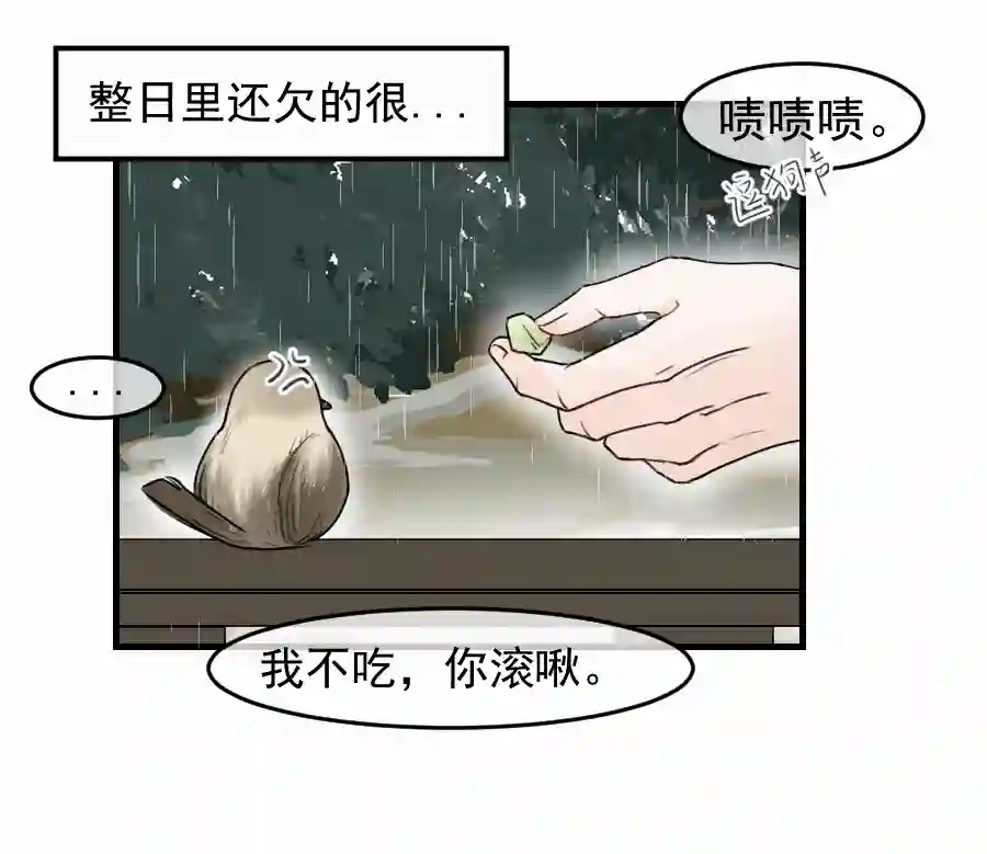 帝君许我做夫妻（四十九）这人是帝君？？