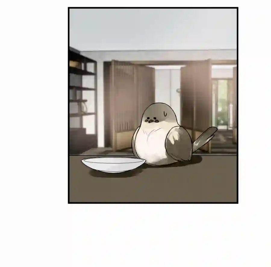 帝君许我做夫妻（五十一）相认