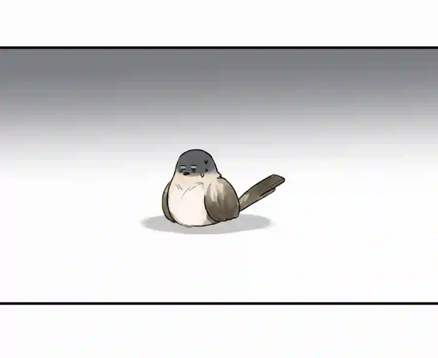 帝君许我做夫妻（五十一）相认