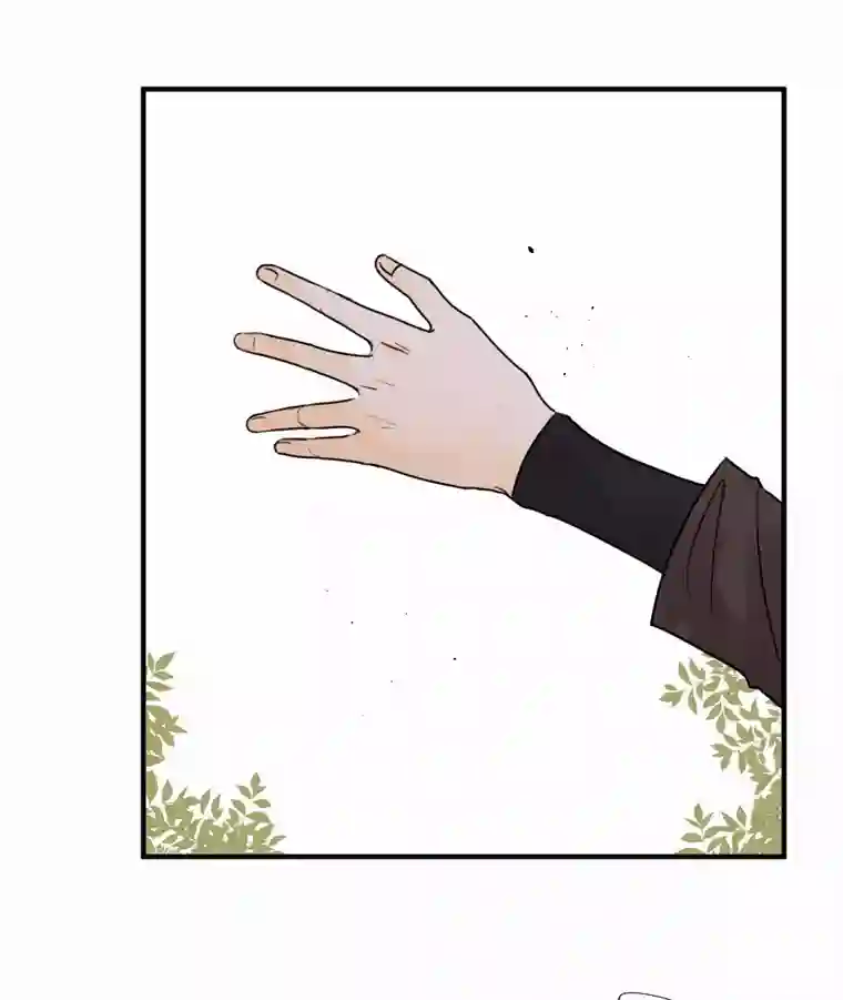 帝君许我做夫妻（五十四）举高高！