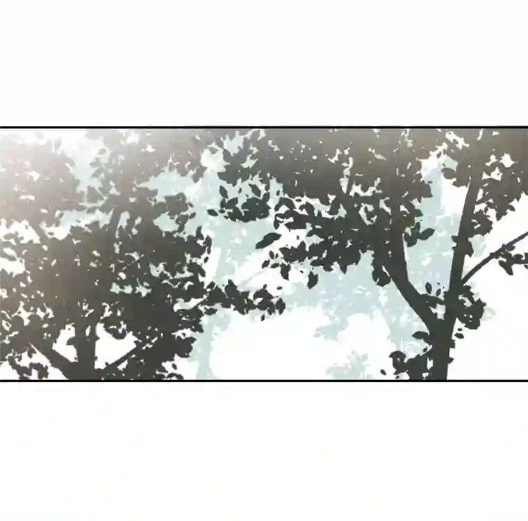 帝君许我做夫妻（五十六）公兔子