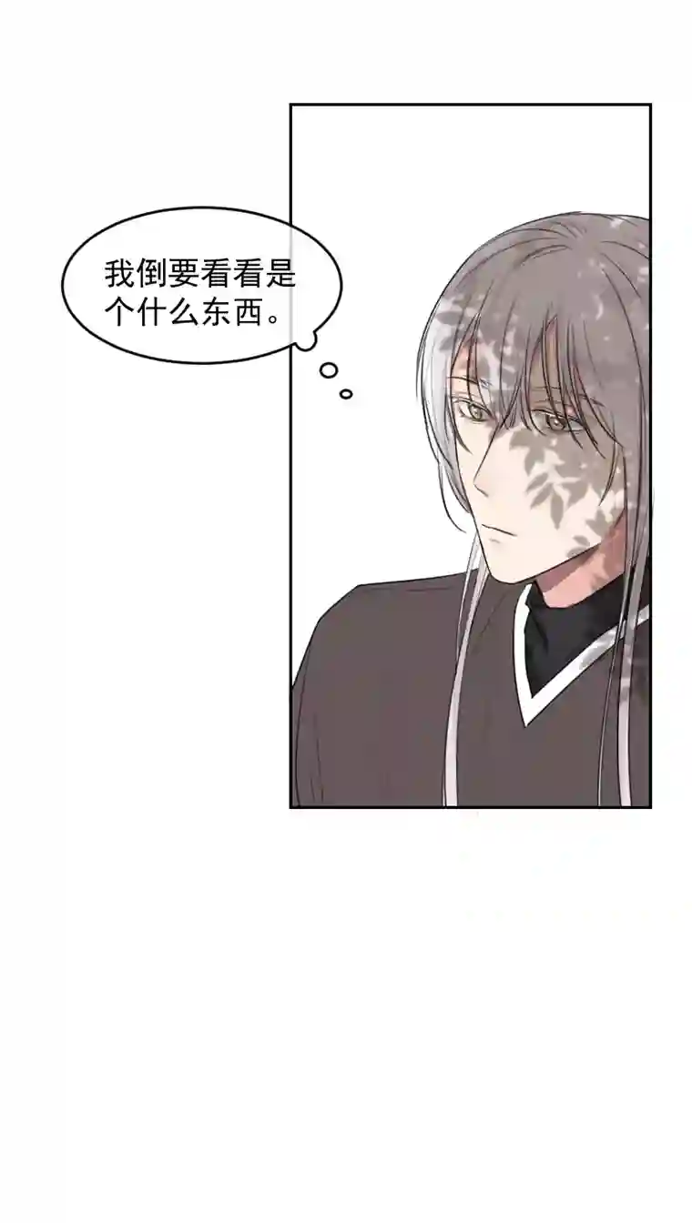 帝君许我做夫妻（五十六）公兔子