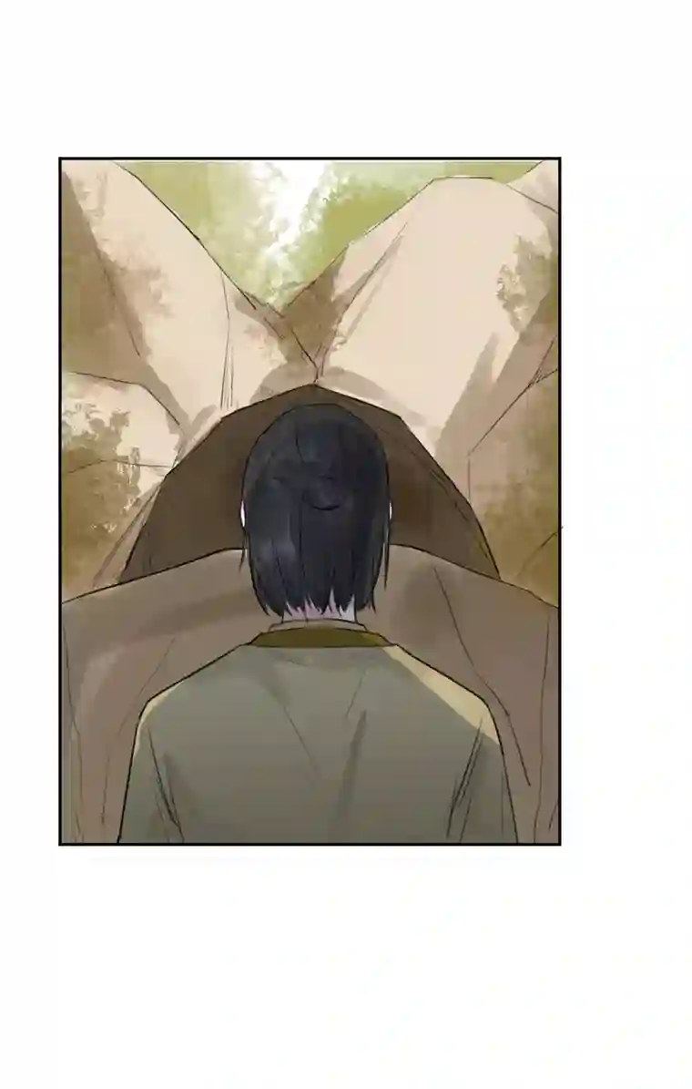 帝君许我做夫妻（五十六）公兔子