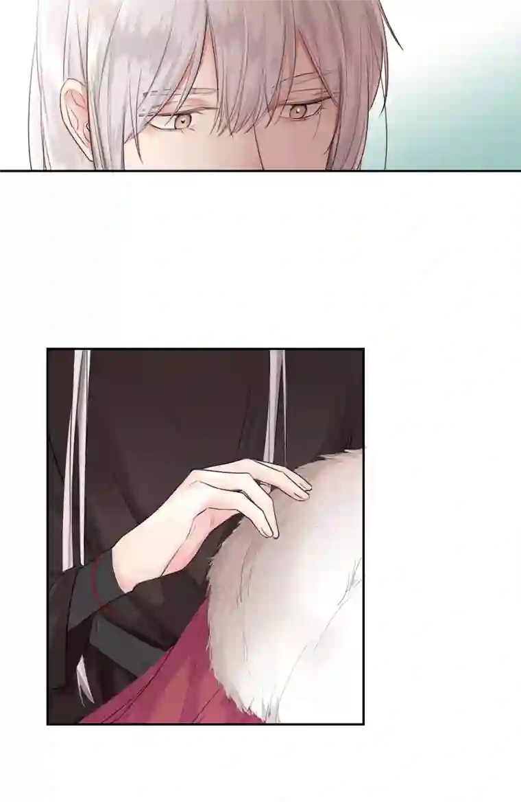 帝君许我做夫妻（五十六）公兔子