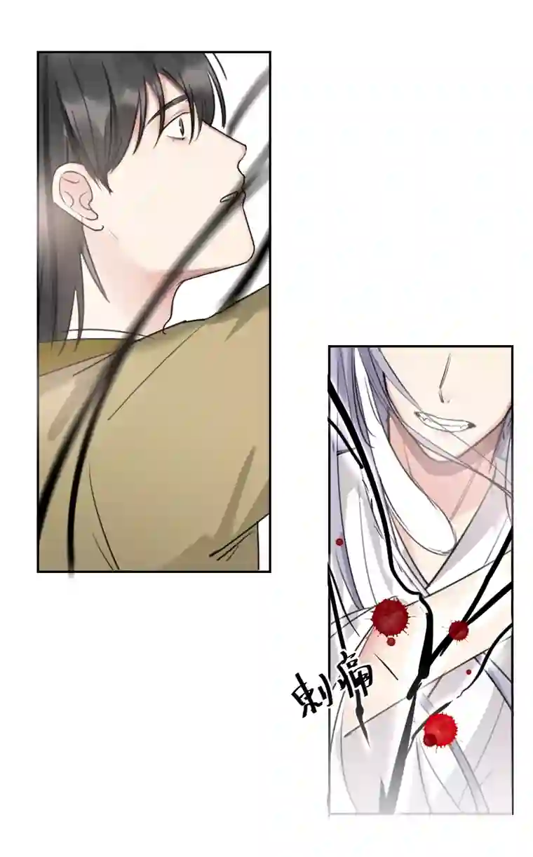 帝君许我做夫妻（五十六）公兔子