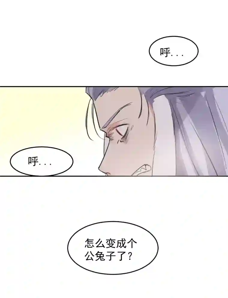 帝君许我做夫妻（五十六）公兔子