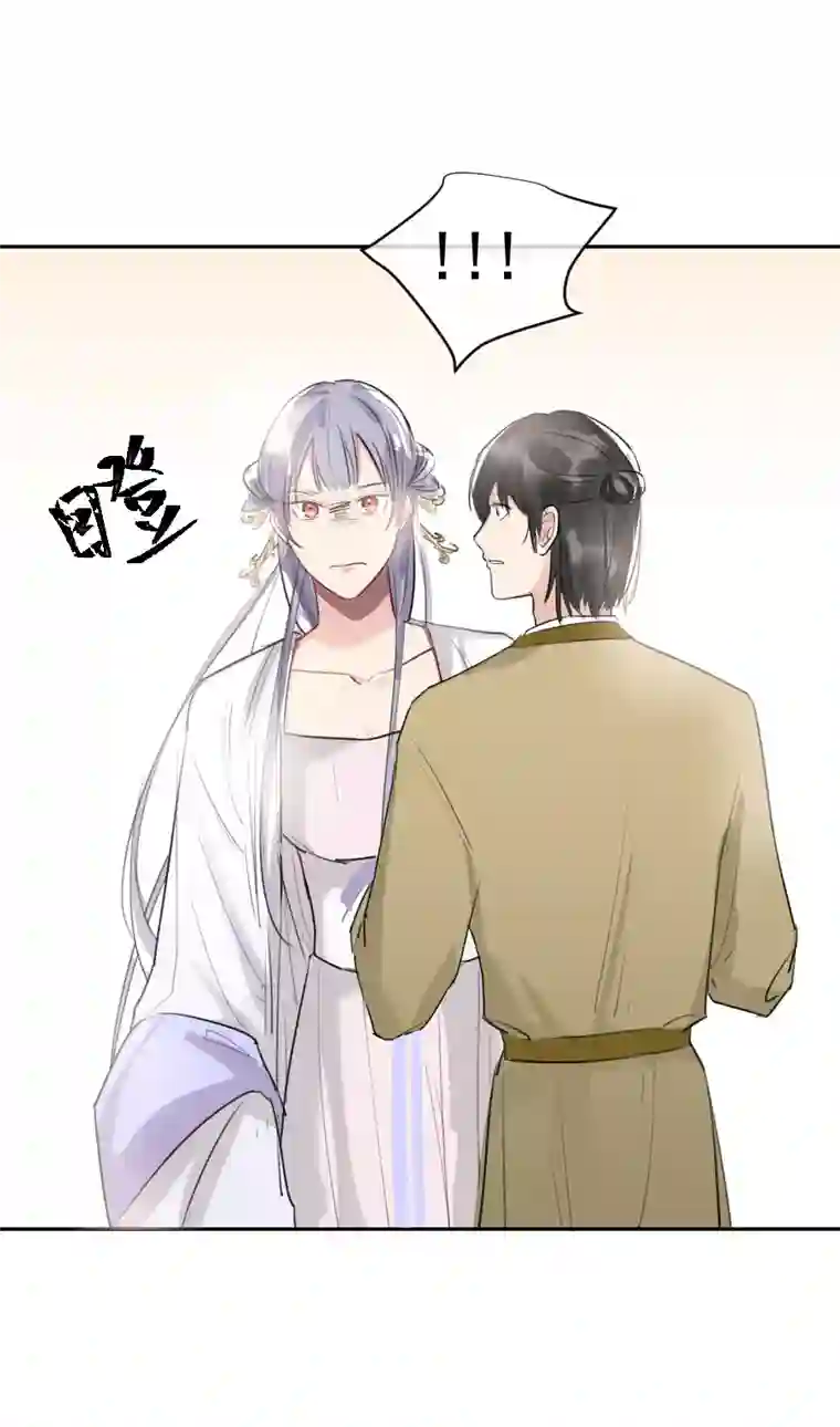 帝君许我做夫妻（五十六）公兔子