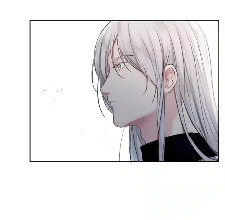 帝君许我做夫妻（五十六）公兔子