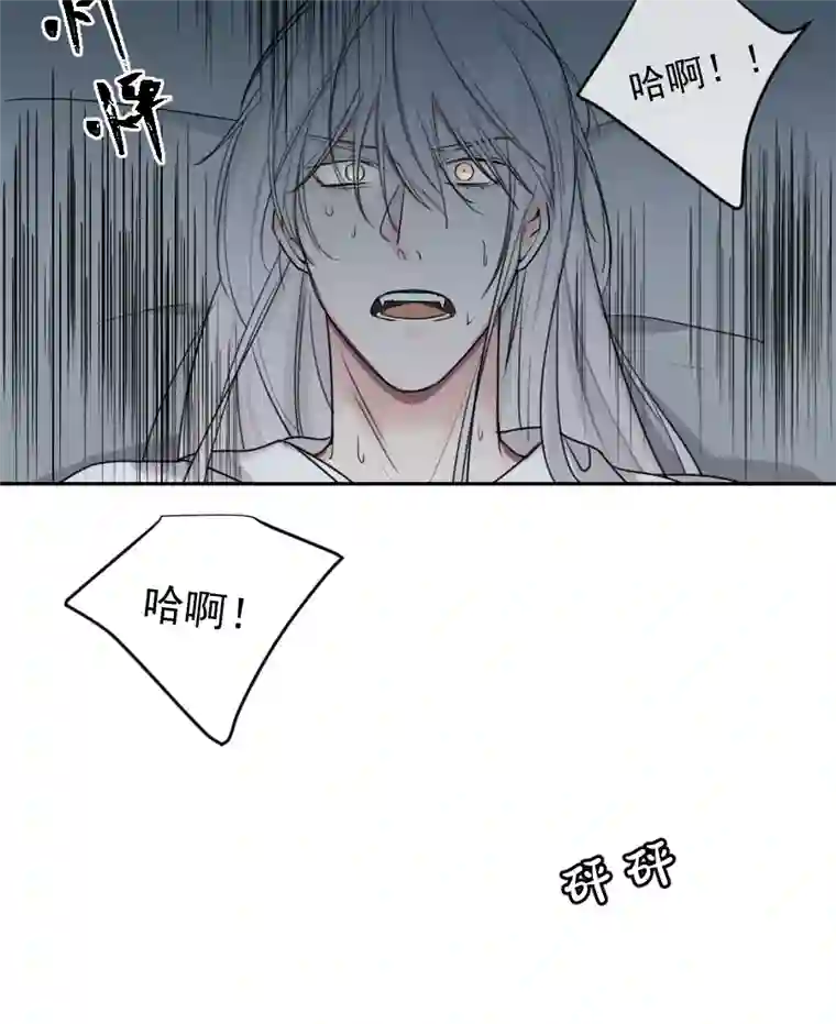 帝君许我做夫妻（五十八）梦中再会