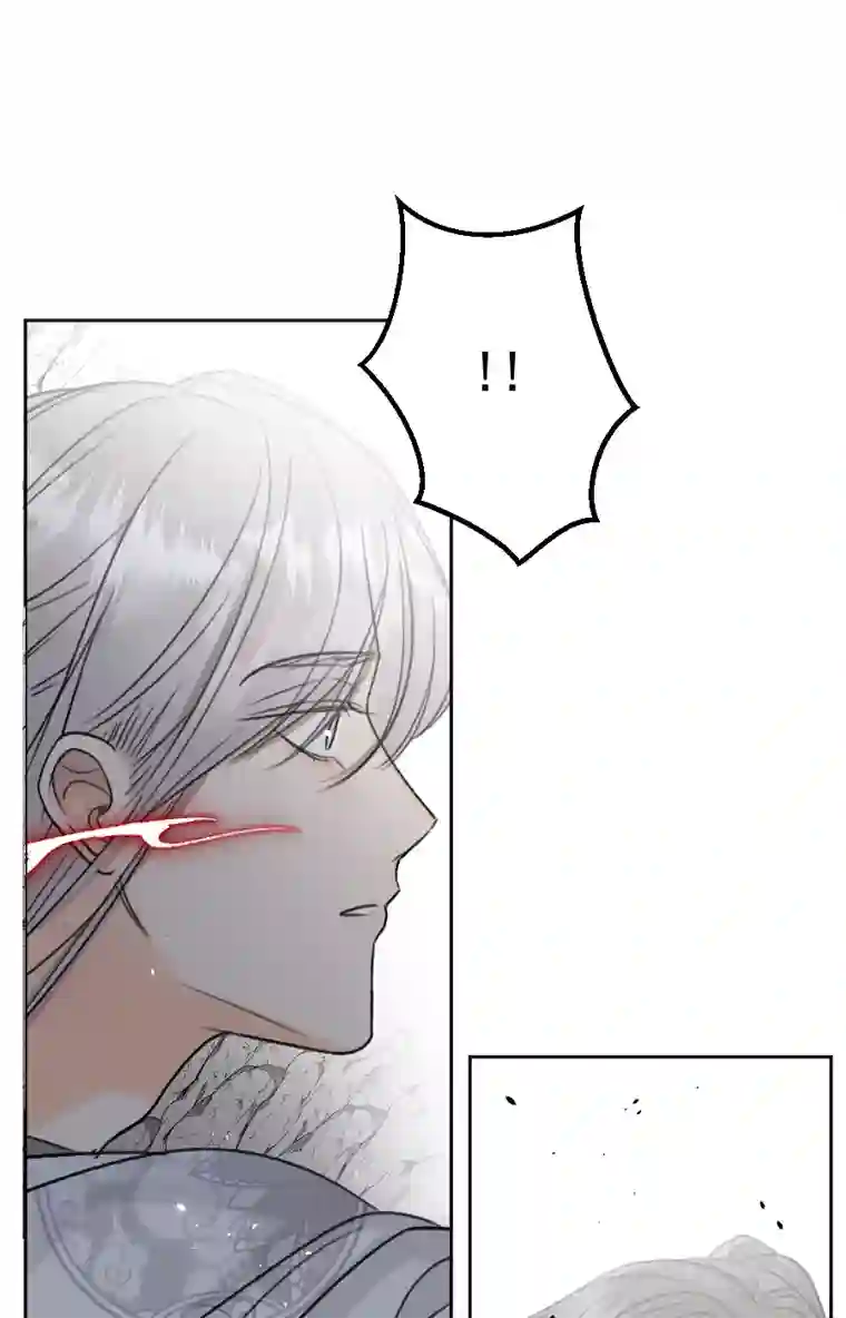 帝君许我做夫妻（六十八）我护着你