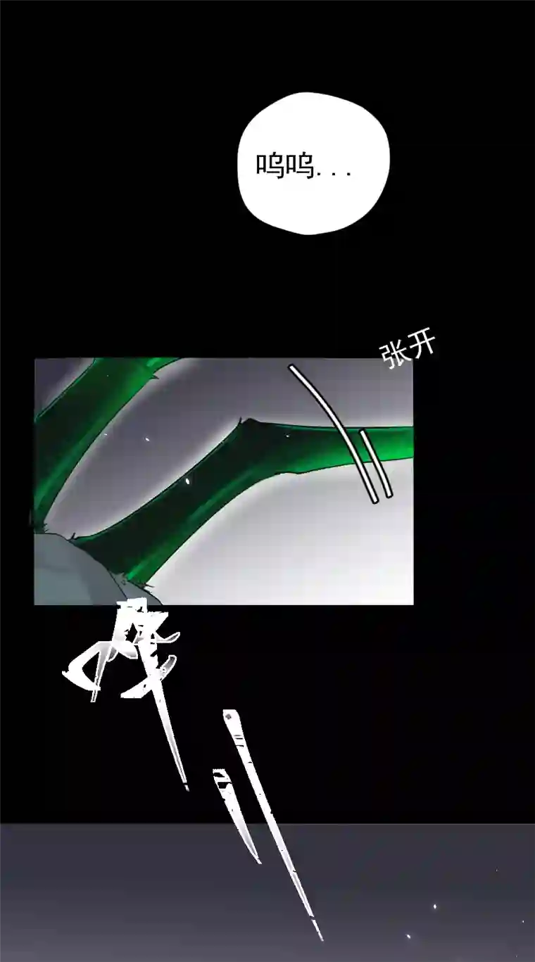 帝君许我做夫妻（六十九）真身