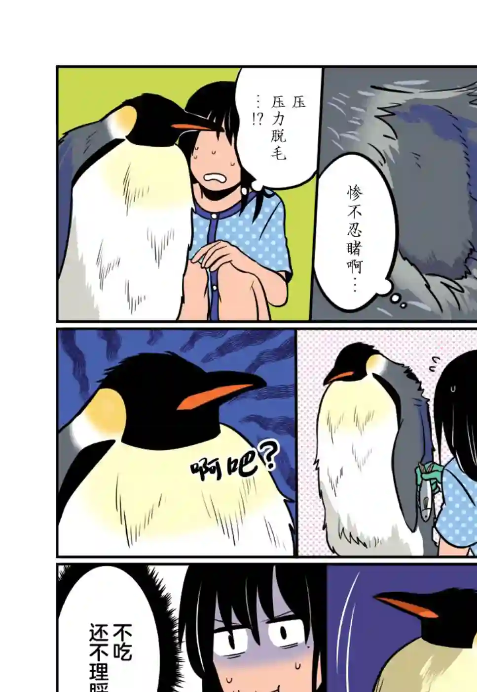 与帝企鹅一起生活的女孩第13话