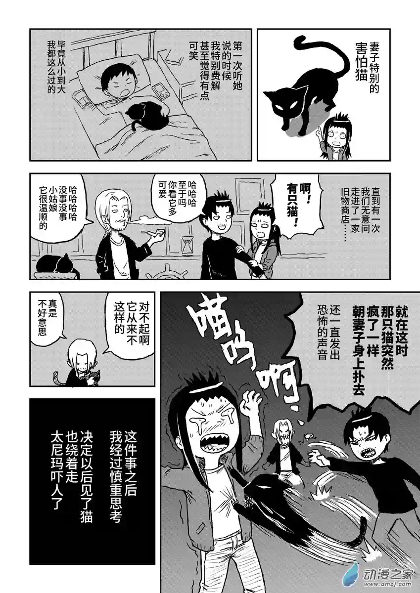 闪光的碎片025猫