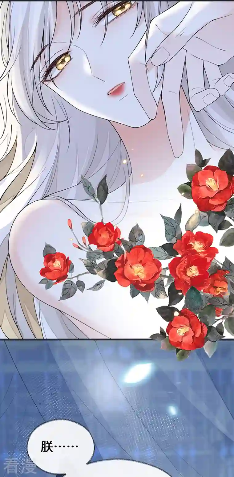 太后裙下臣第122话 卿卿，亲亲