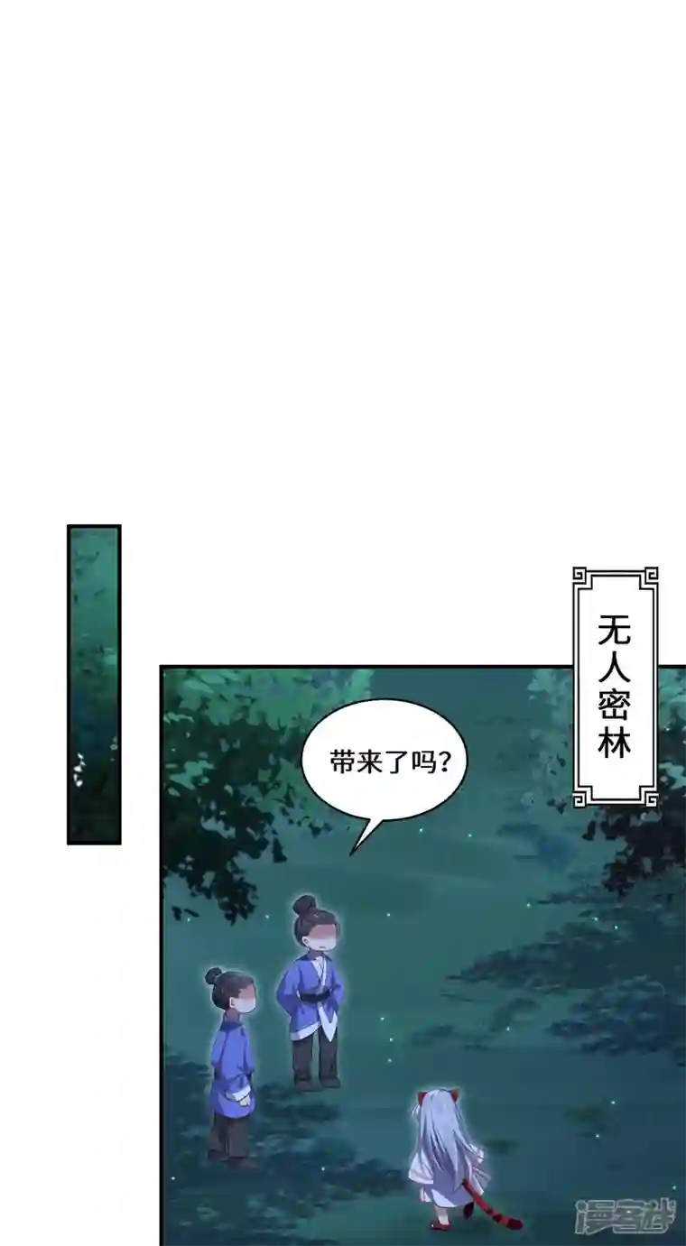 吾本是猫第46话 炼丹