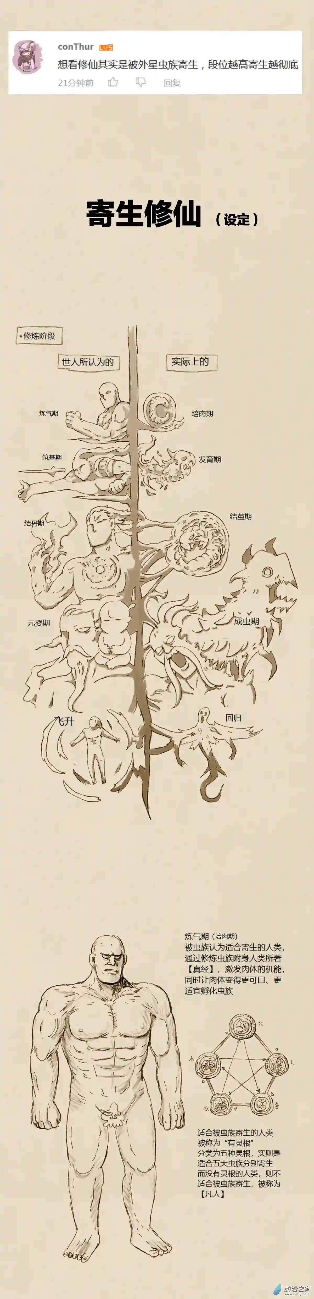 欢乐懒朋友第70话 寄生修仙（设定）