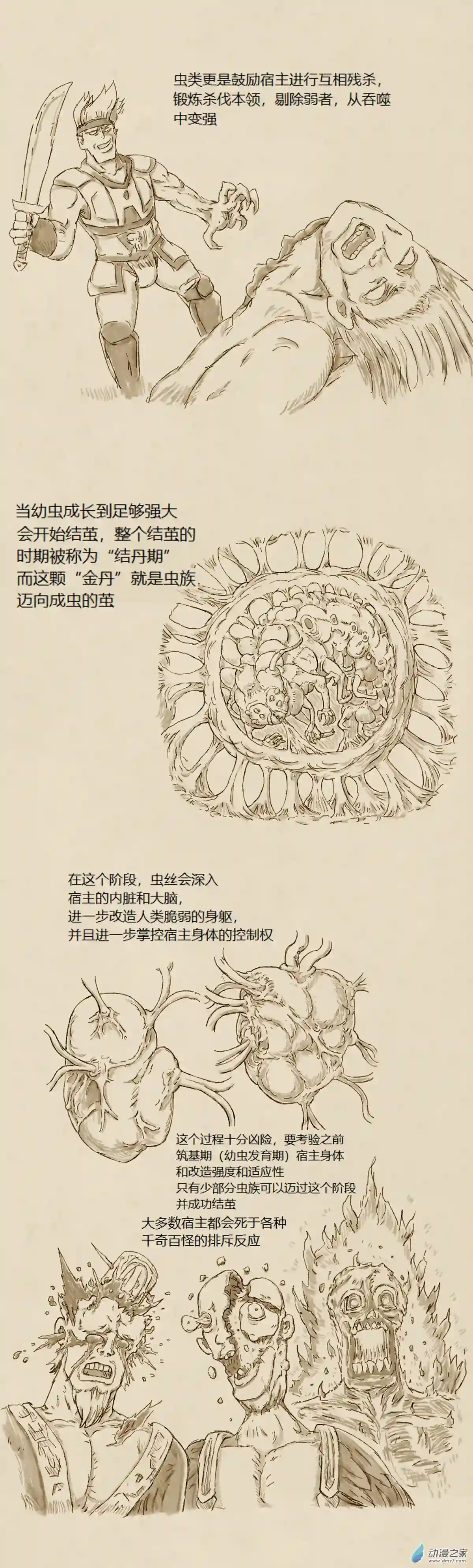 欢乐懒朋友第70话 寄生修仙（设定）