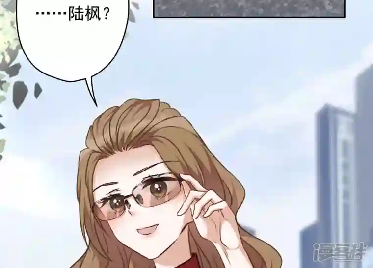 最豪赘婿 龙王殿第105话 陆枫的另外一面