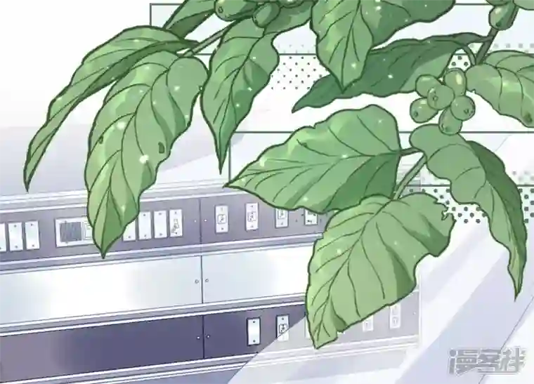 最豪赘婿 龙王殿第157话 计中计