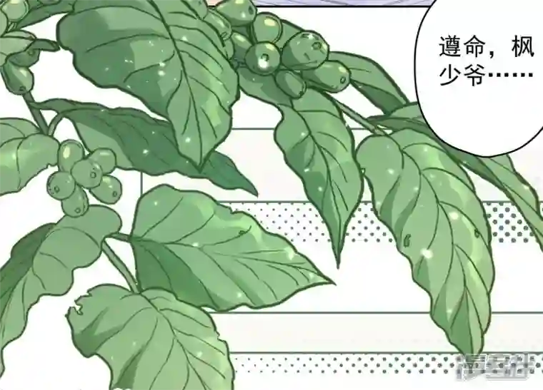 最豪赘婿 龙王殿第167话 护夫女总裁