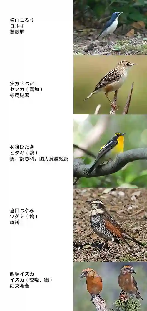 隔壁的手办原型师第1卷加笔