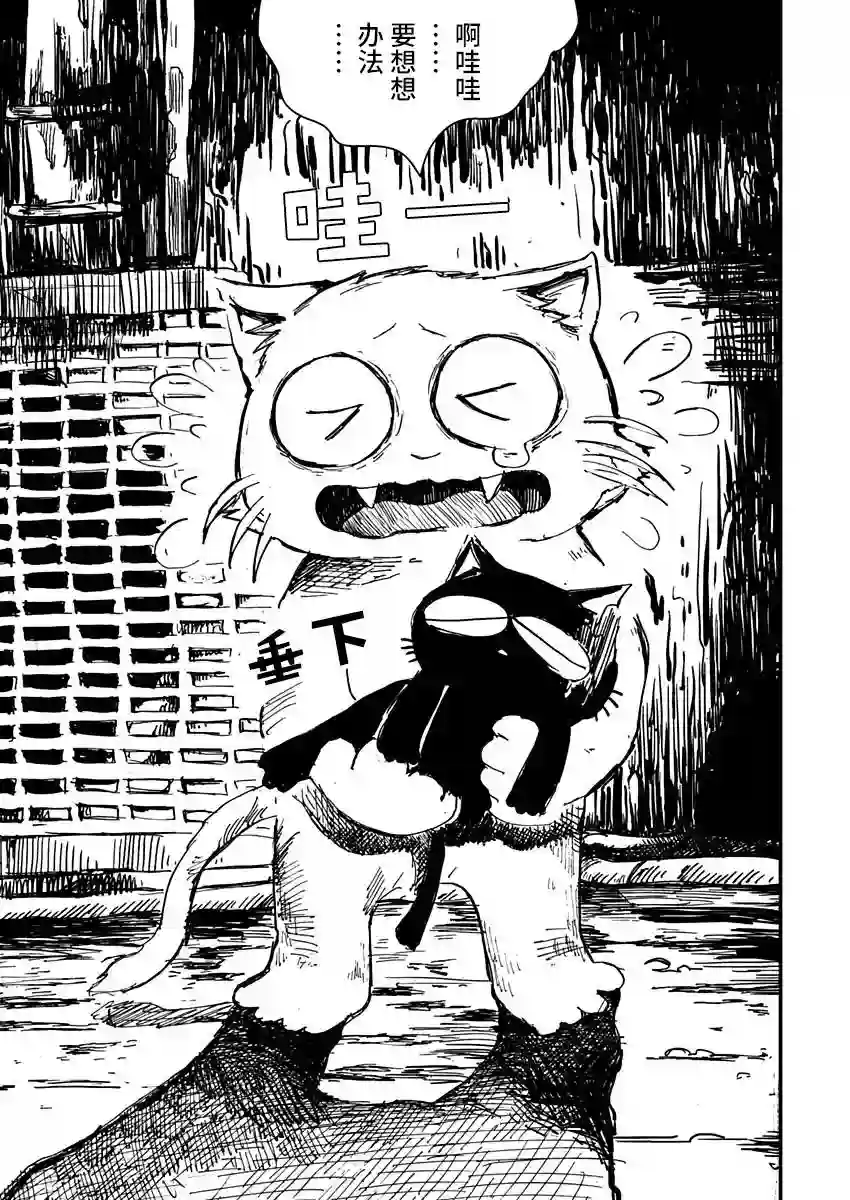 黑猫小小的一生第02话