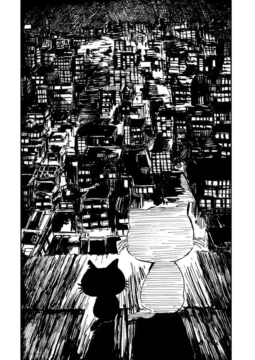 黑猫小小的一生第03话