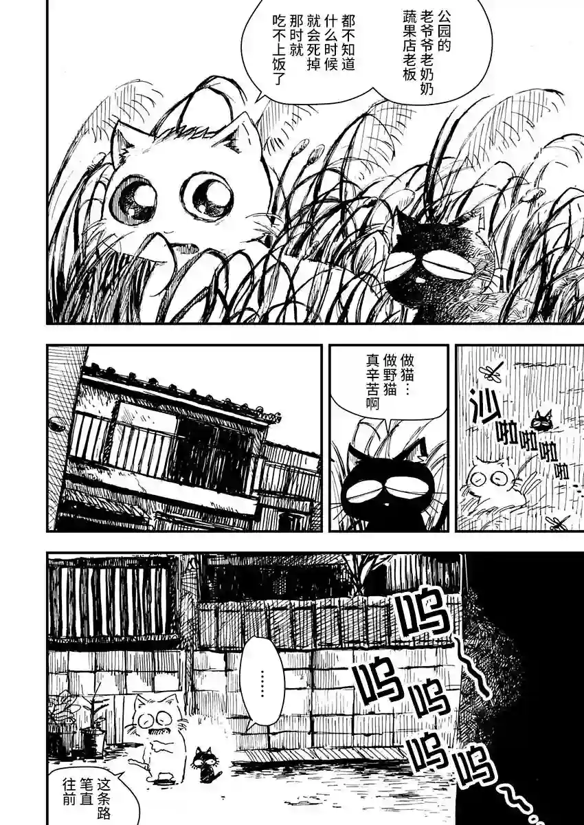 黑猫小小的一生第04话