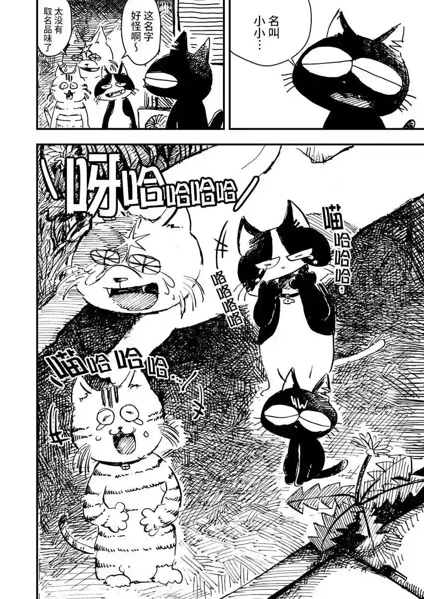 黑猫小小的一生第06话