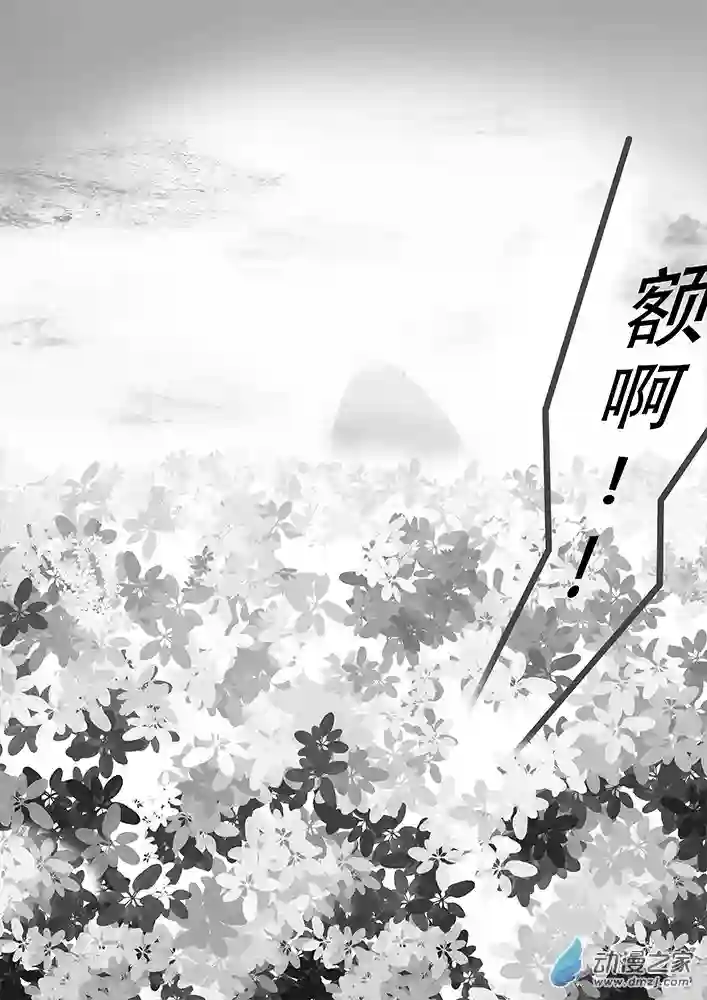 东方风华夜第01话 风起