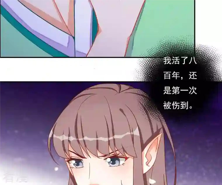 凰女攻略第9话 楼子柳