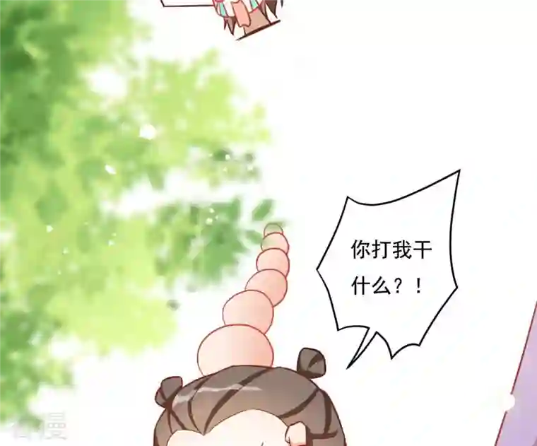 凰女攻略第9话 楼子柳