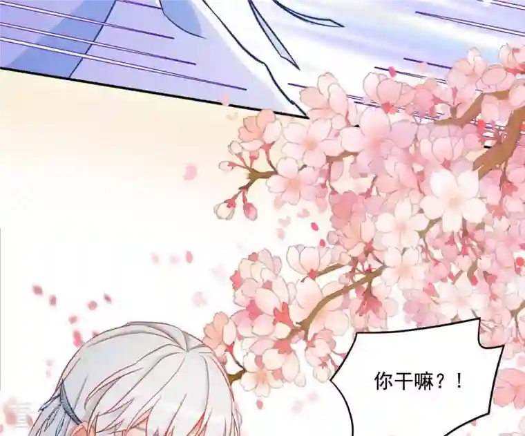 凰女攻略第17话 司妖官