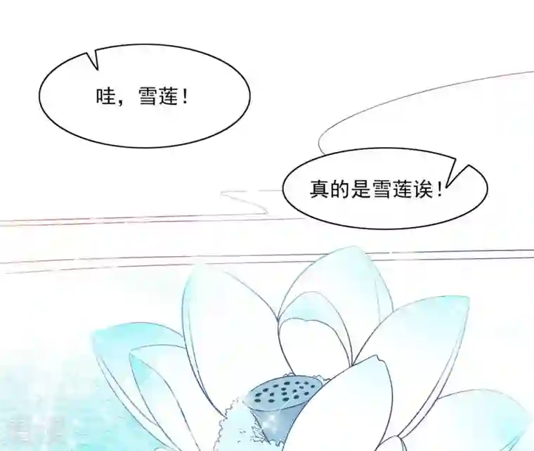 凰女攻略第22话 莲华盛会（二）