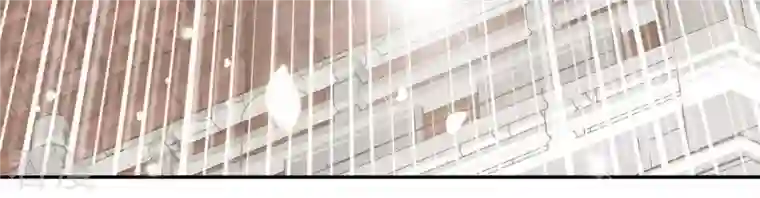 凰女攻略第24话 莲华盛会 （四）