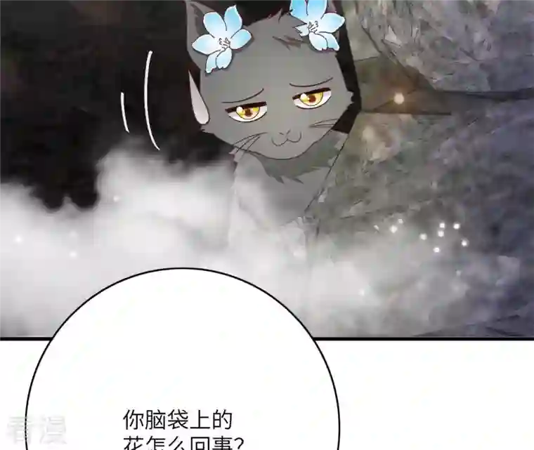 凰女攻略第39话 灵机一动