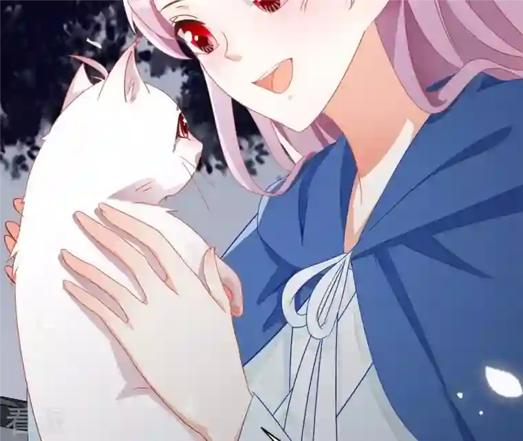 凰女攻略第40话 提亲