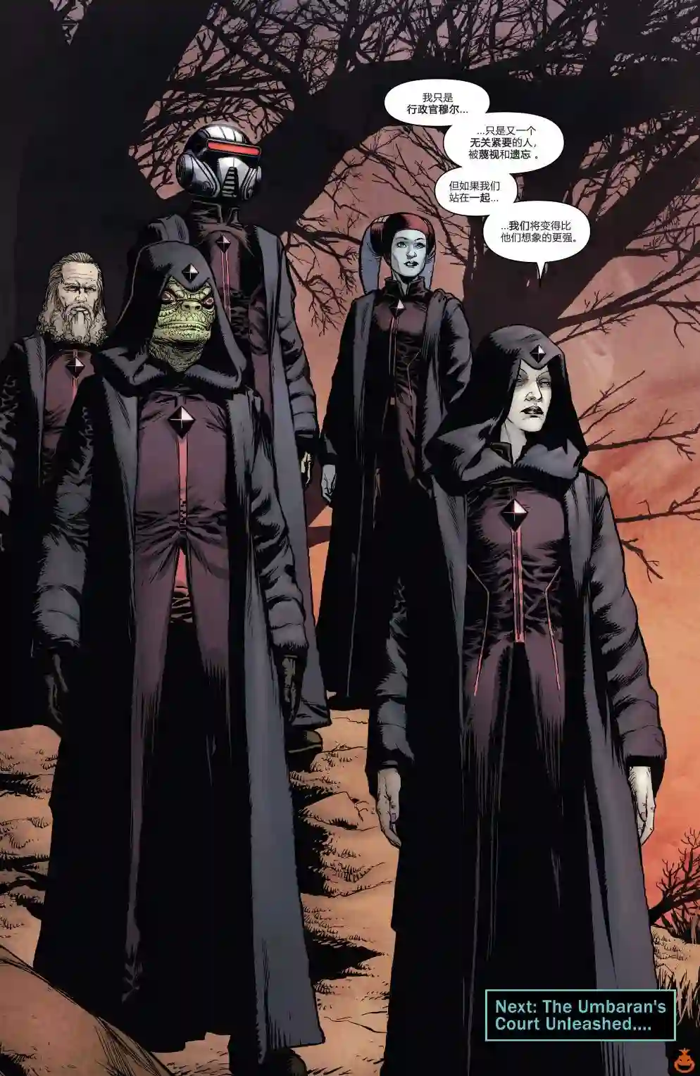 星球大战：达斯·维达第13卷