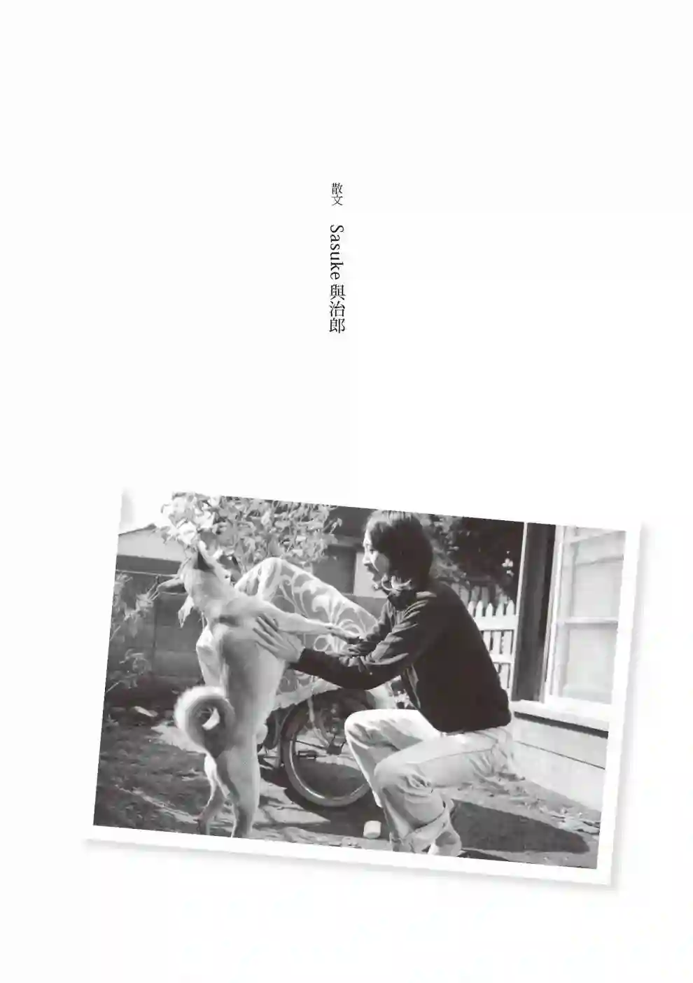 先养狗，然后……养了猫全一卷