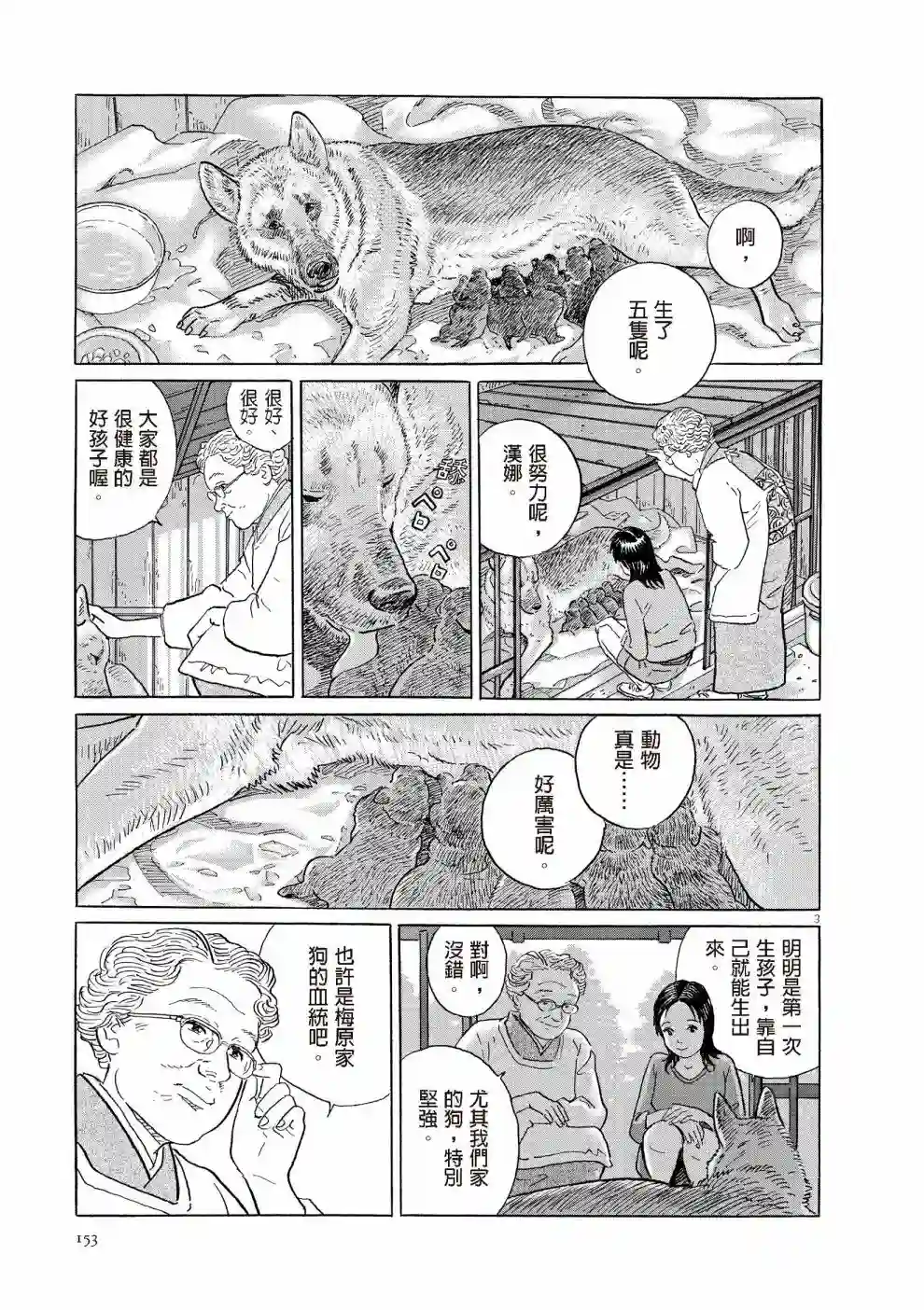 先养狗，然后……养了猫全一卷