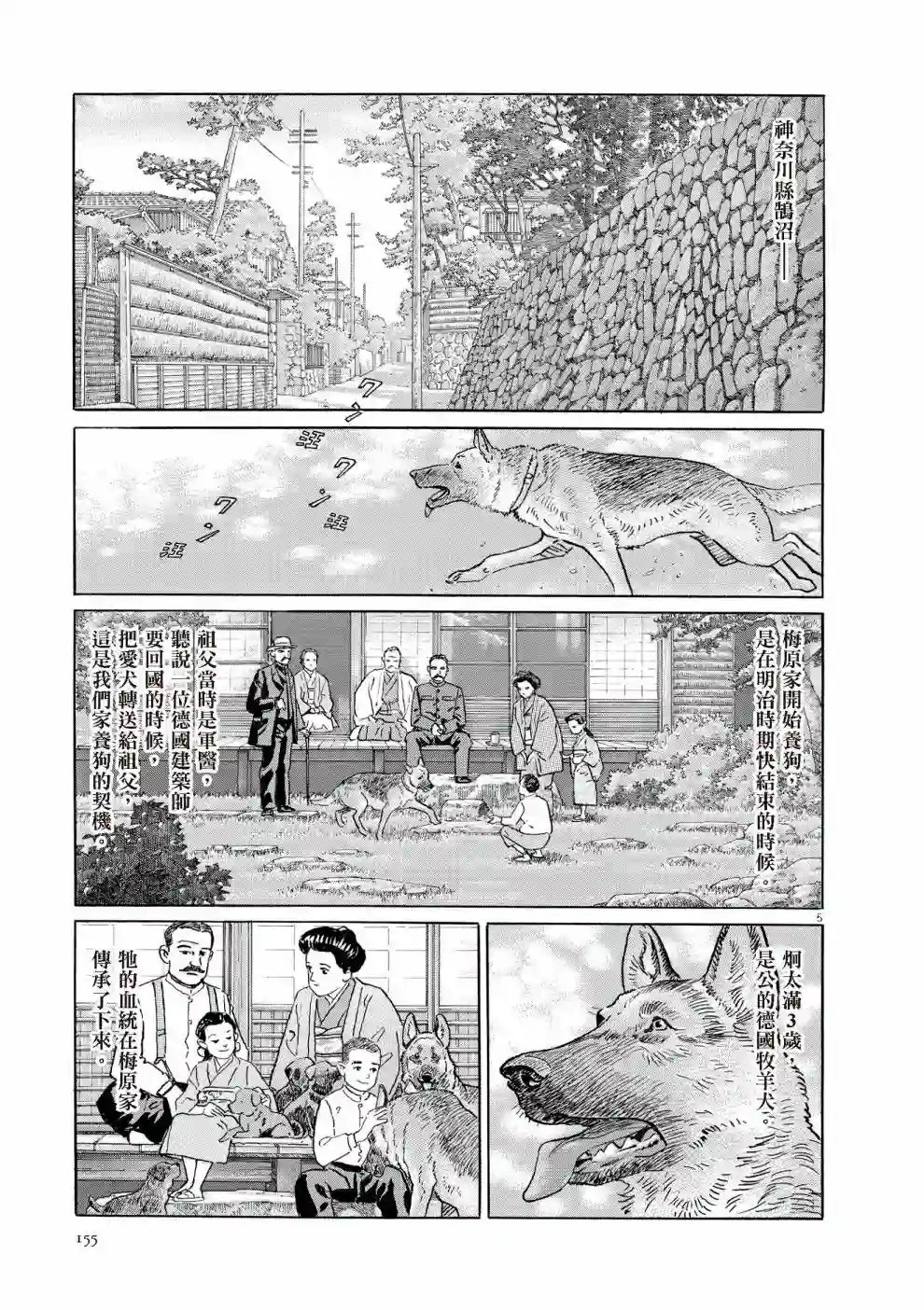 先养狗，然后……养了猫全一卷