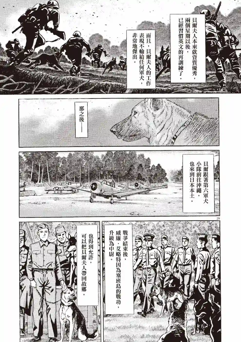 先养狗，然后……养了猫全一卷